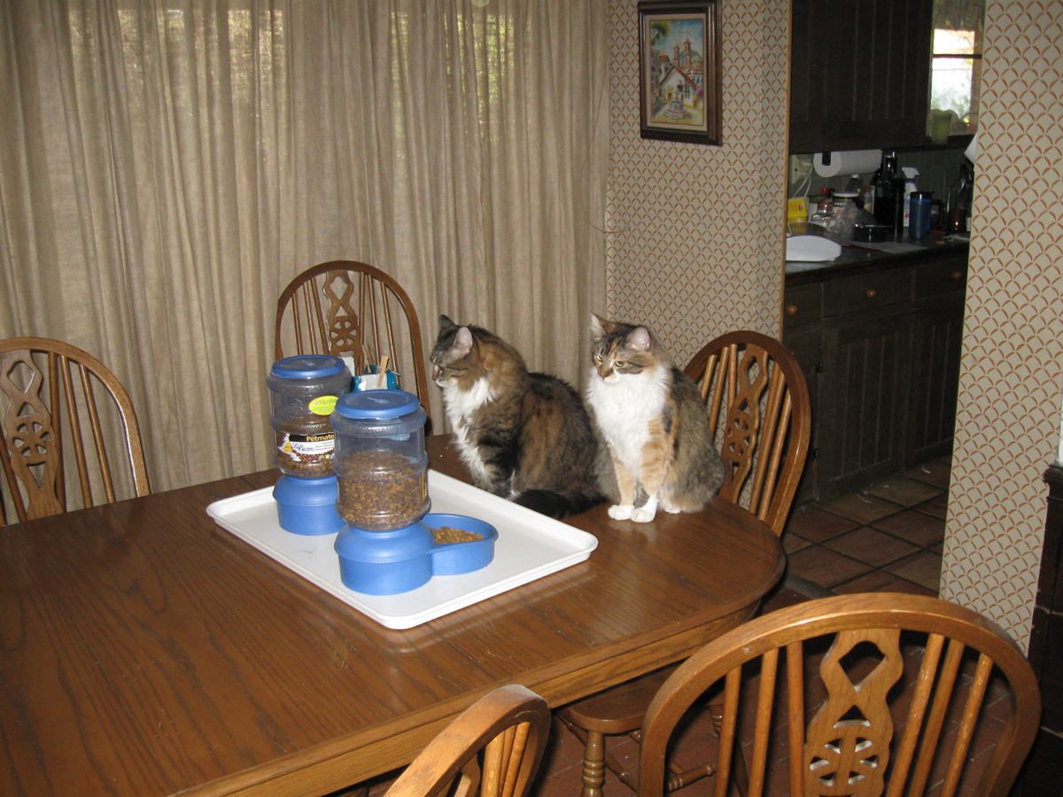 Chiquita and Electra