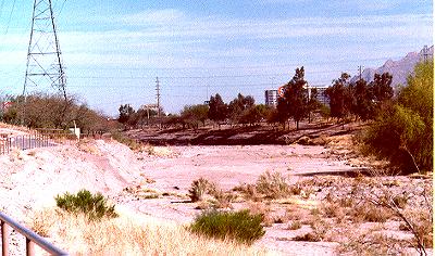 Santa Cruz River Prime Habitat of Sand Trout